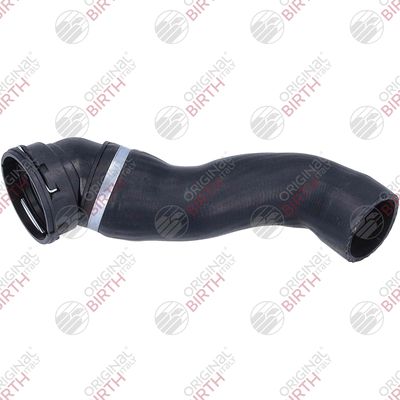 FURTUN EAR SUPRAALIMENTARE BIRTH 55825