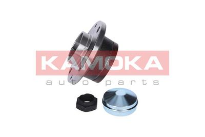 Wheel Bearing Kit 5500031