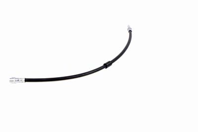 FURTUN FRANA VAICO V300547 4