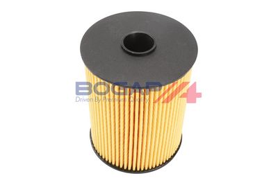 FILTRU ULEI BOGAP B8113138 3