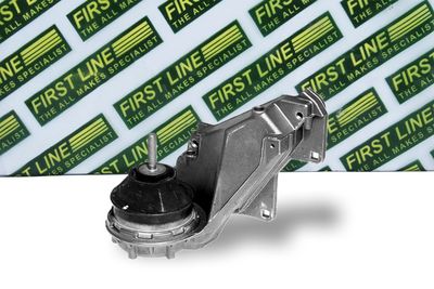 окачване, двигател FIRST LINE FEM3156