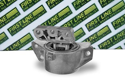 окачване, двигател FIRST LINE FEM4246