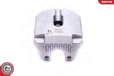 Brake Caliper 56SKV292