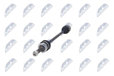 PLANETARA NTY NPWMS124 18