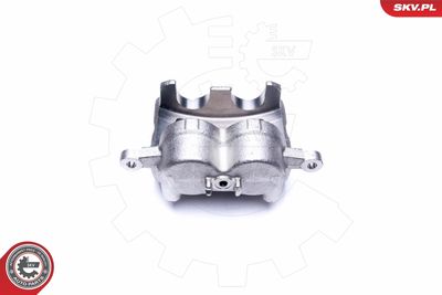 Brake Caliper 44SKV911