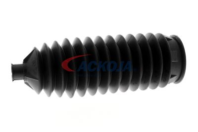 ANSAMBLU BURDUF DIRECTIE ACKOJA A260045 57