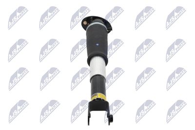 AMORTIZOR NTY ACH006 15