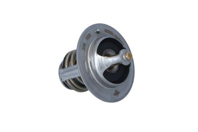 TERMOSTAT LICHID RACIRE NRF 725233 38