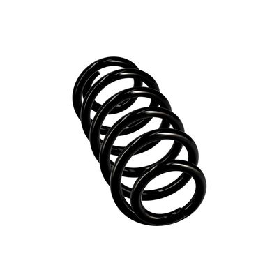 ARC SPIRAL EIBACH R10137 24