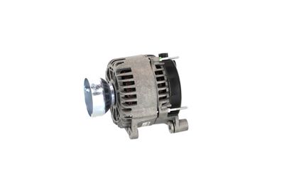 GENERATOR / ALTERNATOR REMANTE 011003000064R 13