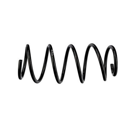 ARC SPIRAL EIBACH R10344 7