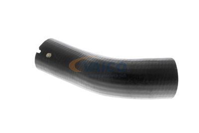 FURTUN EAR SUPRAALIMENTARE VAICO V240715 38
