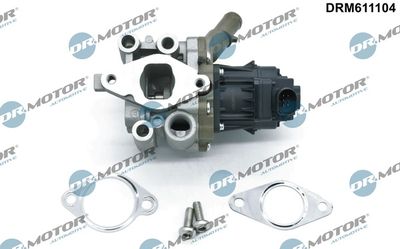 SUPAPA EGR Dr.Motor Automotive DRM611104 1