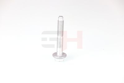 SURUB CAPAT DE AX GH GH392528 14
