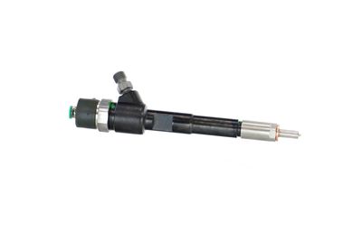 INJECTOR REMANTE 002003002244R 43