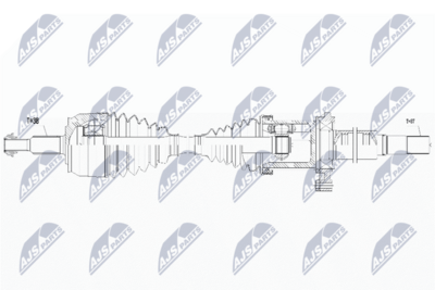 NPW-WW-266