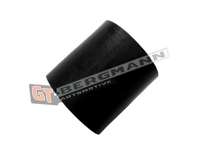 GT-BERGMANN Automotive - Hadica plniaceho vzduchu (hadica turba) VAG, VW, AUDI , GT52-789