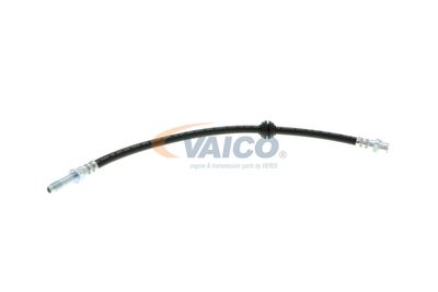 FURTUN FRANA VAICO V204107 48