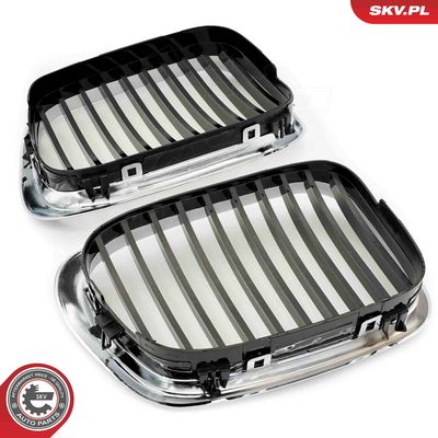 GRILA RADIATOR ESEN SKV 66SKV160 3