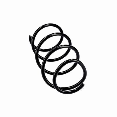 ARC SPIRAL EIBACH R10875 24