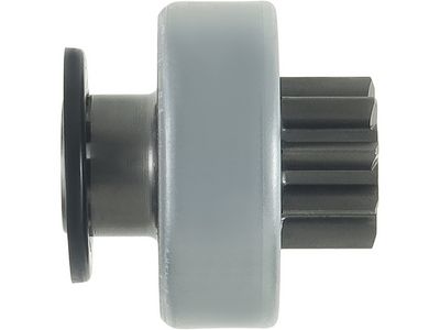 Laisvos eigos pavara, starteris