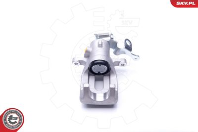 Brake Caliper 42SKV403