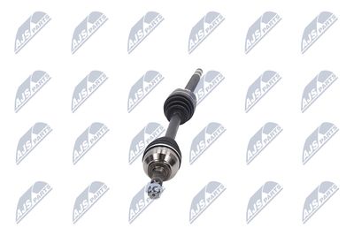 PLANETARA NTY NPWPE053 16