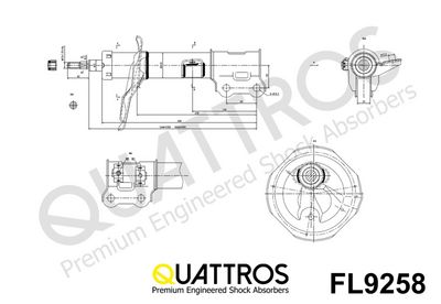 AMORTIZOR DAVID VASCO FL9258 1