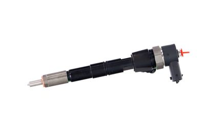 INJECTOR REMANTE 002003000028R 10