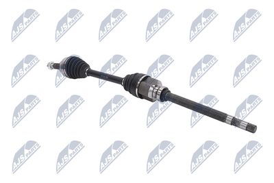 PLANETARA NTY NPWPE053 28