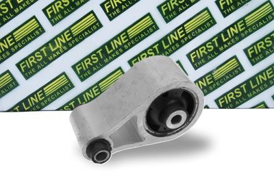 окачване, двигател FIRST LINE FEM3670