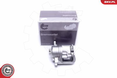 Brake Caliper 50SKV482