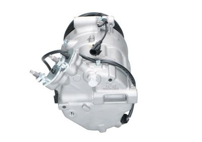 Kompresor, klimatizace BV PSH 090.815.004.876
