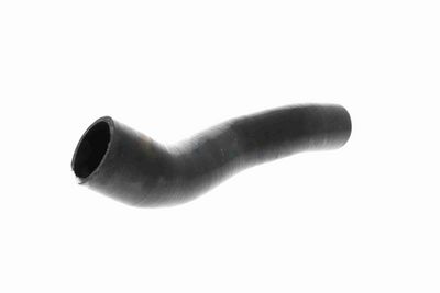 FURTUN EAR SUPRAALIMENTARE ACKOJA A389605 4