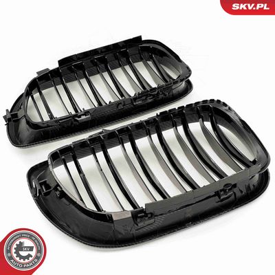 GRILA RADIATOR ESEN SKV 66SKV084 4