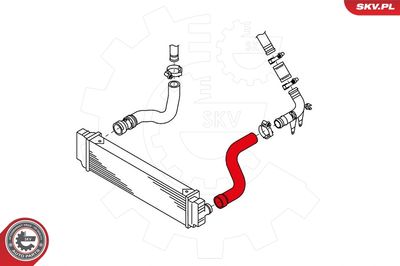 FURTUN EAR SUPRAALIMENTARE