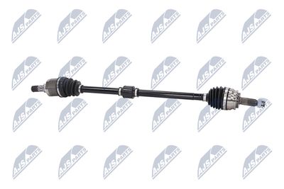 PLANETARA NTY NPWCH062 26