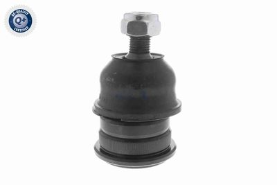 CAP DE BARA ACKOJA A321160 1