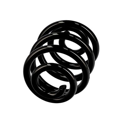 ARC SPIRAL EIBACH R10087 2