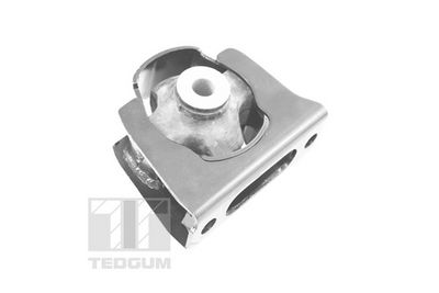 SUPORT MOTOR TEDGUM TED16223 1