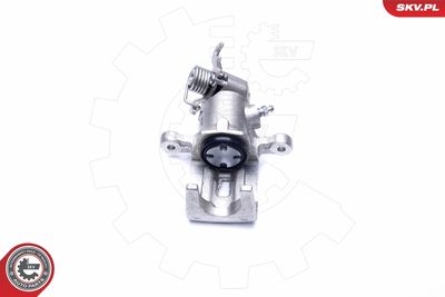 Brake Caliper 45SKV054