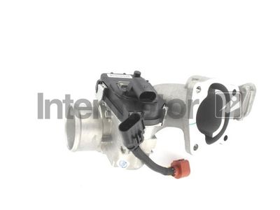 Throttle Body Intermotor 68303