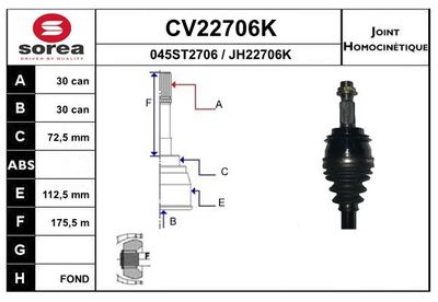 SET ARTICULATIE PLANETARA EAI CV22706K