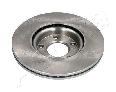 Brake Disc 60-03-309C