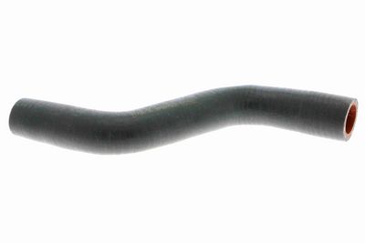 FURTUN EAR SUPRAALIMENTARE