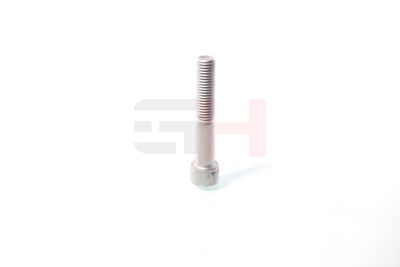 SURUB CAPAT DE AX GH GH391070 30