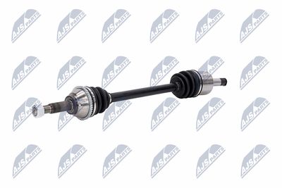 PLANETARA NTY NPWFR031 21