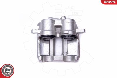 Brake Caliper 50SKV174