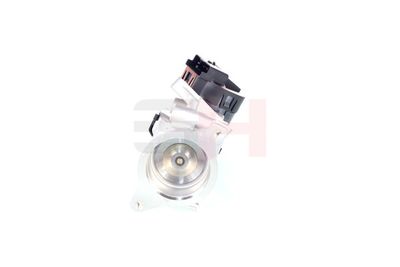 SUPAPA EGR GH GH731905 46