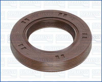 WELLENDICHTRING NOCKENWELLE